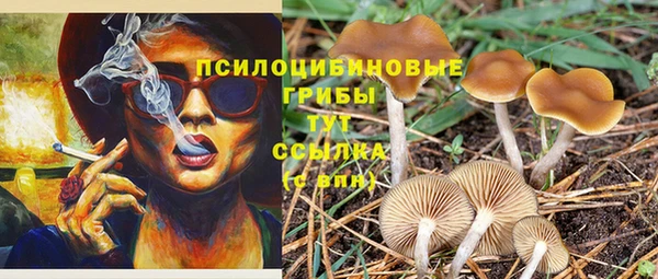 гидропоника Верхнеуральск