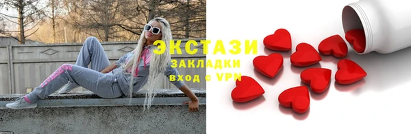 индика Бородино