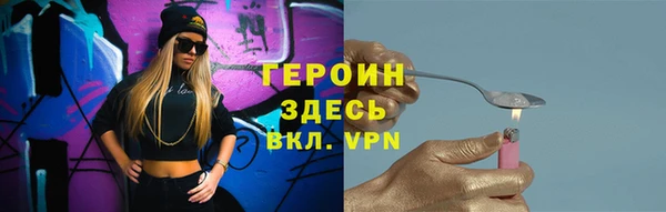 индика Бородино